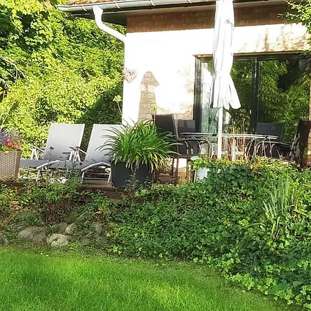 Am Mischwald In Daire Nossentiner Huette