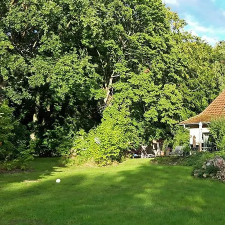 Am Mischwald In Daire Nossentiner Huette
