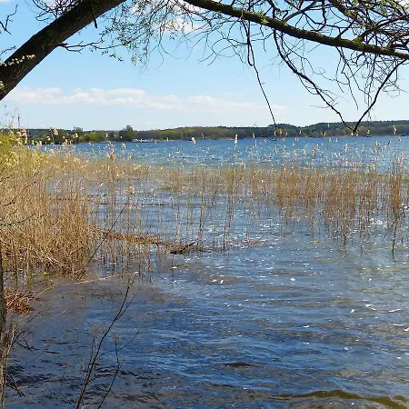 Am Mischwald In Nossentiner Huette