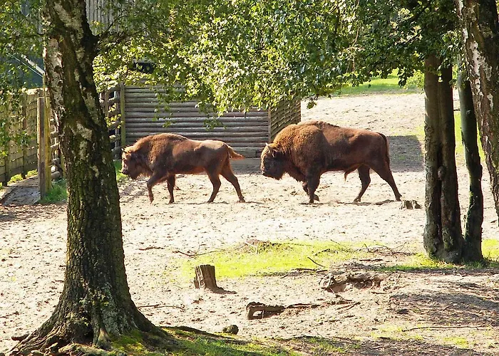 Am Mischwald In
